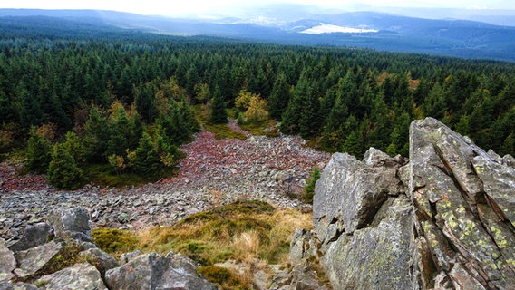 Blick von der Felsengruppe Wolfswarte im Nationalpark Harz. © imago/ZUMA Press Foto: Jannis Grosse