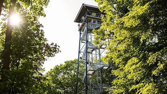Der Holzbergturm in einem Waldgebiet bei Malente © Malente Tourismus- und Service GmbH Foto: Anne Weise