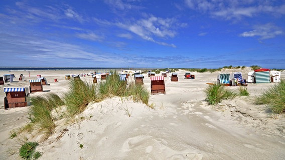 Strandkörbe und Dünen auf der Insel Baltrum. © IMAGO/McPHOTO Foto: W. Boyungs