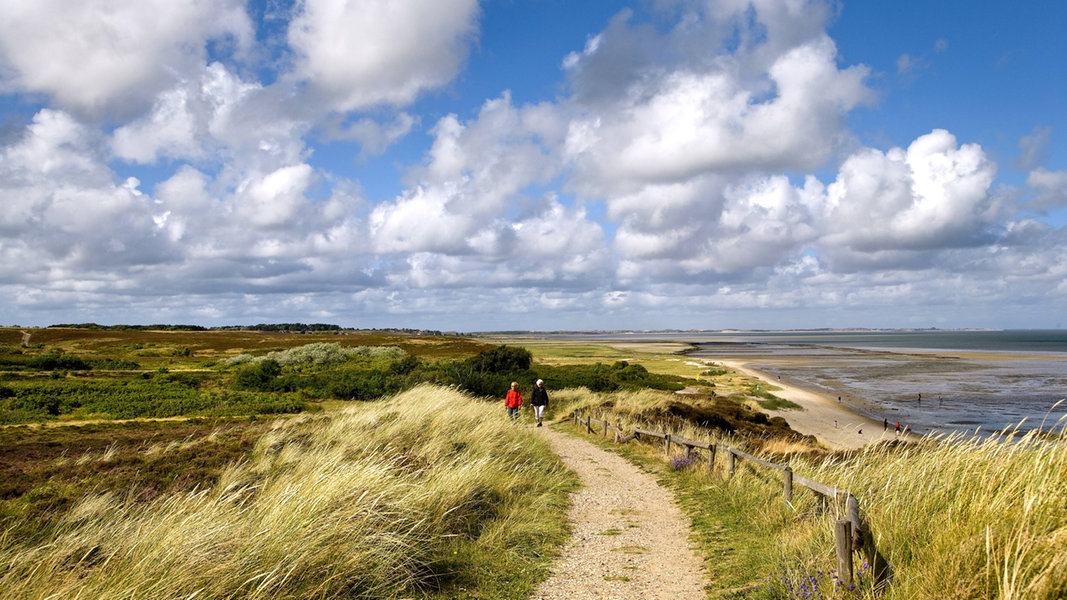 Braderuper Heide Das unbekannte Sylt NDR.de Ratgeber
