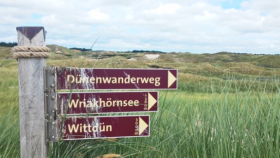 Hinweisschild auf einen Dünenwanderweg auf Amrum © NDR Foto: Irene Altenmüller