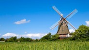 Die alte Mühle in Oldsum auf Föhr, im Vordergrund ein grünes Feld. © picture alliance / imageBROKER Foto: Sabine Lubenow