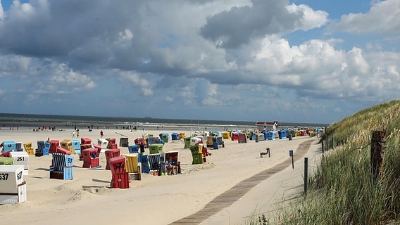 Strandkörbe am langen Strand der Insel Langeoog © imago images / localpic 