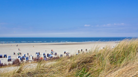 Strandkörbe auf der Insel Norderney. © fotolia Foto: Julian Weber