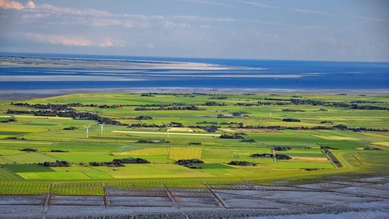 Die Insel Pellworm aus der Luft. © Tourismus-Agentur Schleswig-Holstei 