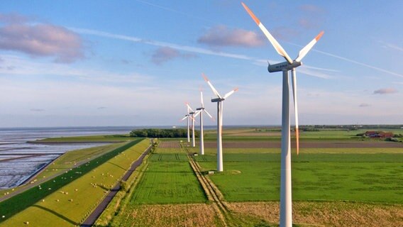 Windräder reihen sich hinter dem Deich auf Pellworm aneinander. © Tourismus-Agentur Schleswig-Holstei 