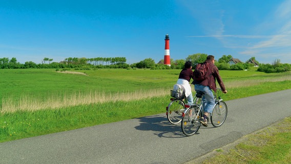 Fahrradfahrer auf Pellworm fahren auf einem Weg in der Nähe des Leuchtturms © Tourismus-Agentur Schleswig-Holstei 