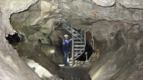 Blick in einen Gang der Kalkberghöhle in Bad Segeberg. © NDR Foto: Kathrin Weber