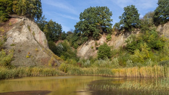 Teich in der Liether Kalkgrube. © Christine Raczka Foto: Christine Raczka