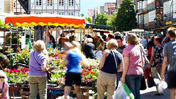 Wochenmarkt in der Altstadt von Celle © ©CTM GmbH; www.celle-tourismus.de 