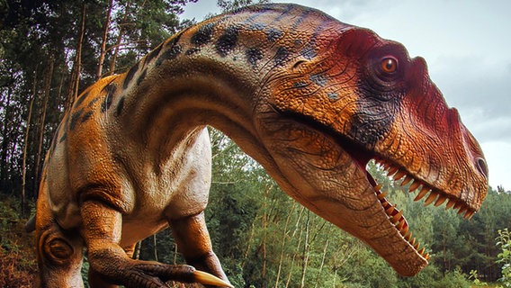 Modell eines Raubsauriers in der Dinowelt des Wildparks Schwarze Berge. © Wildpark Schwarze Berge 