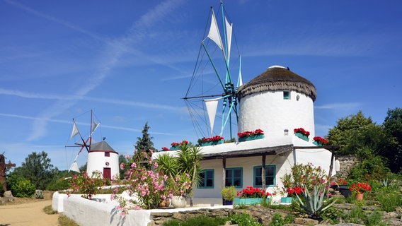 Eine portugiesische und eine griechische Windmühle im Mühlenmuseum in Gifhorn. © Südheide Gifhorn GmbH Foto: Frank Bierstedt
