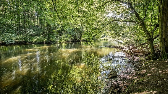 Naturlandschaft im Warnow-Durchbruchstal © TMV Foto: Susanne Krauss