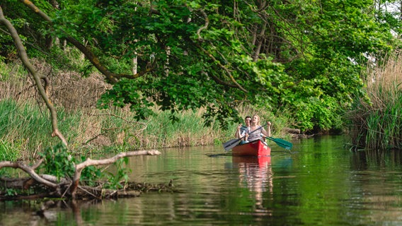 Zwei Ausflügler fahren mit dem Kanu auf der Warnow bei Weitendorf. © TMV Foto: Erik Gross