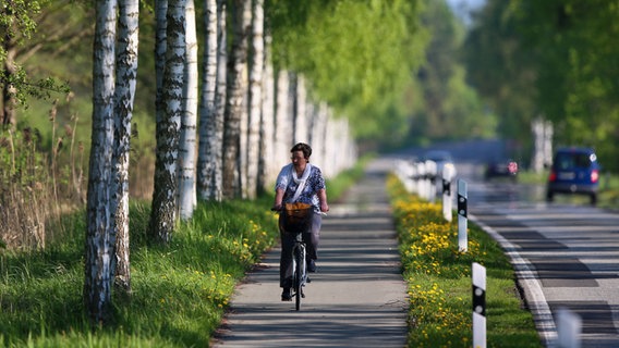 Eine Radfahrerin auf dem Paulsdamm am Schweriner See. © picture alliance / ZB Foto: Jens Büttner
