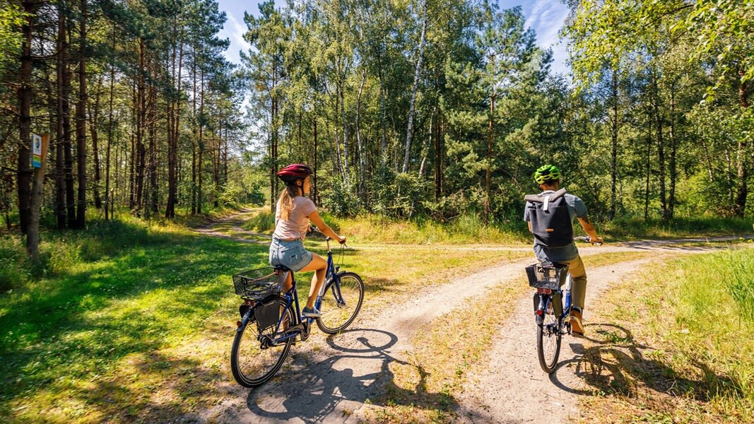 Tourismusland MV: Trend geht zur kurzfristigen Buchung