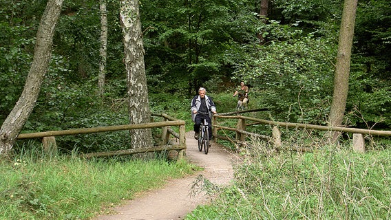 Radfahrer im Müritz-Nationalpark © Nationalparkamt Müritz Foto: Johanna Dahlmann