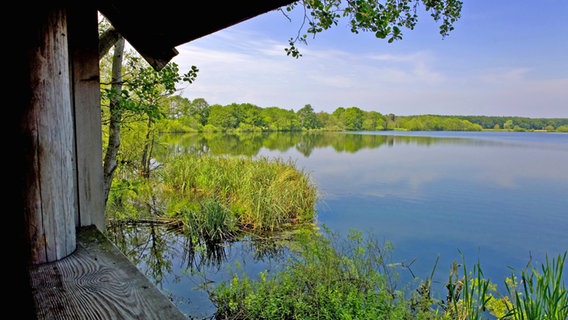 Blick auf den Warnkesee im Müritz Nationalpark © imago/alimdi 