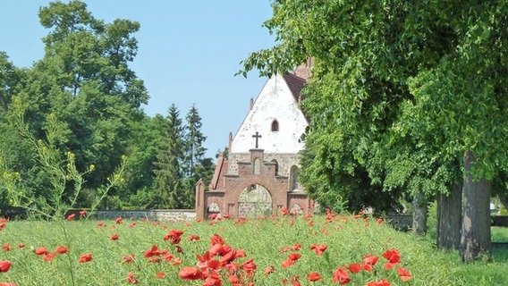 Eine kleine Kirche steht hinter einer Wiese mit roten Mohnblumen. © Pilgerweg Mecklenburgische Seenplatte 