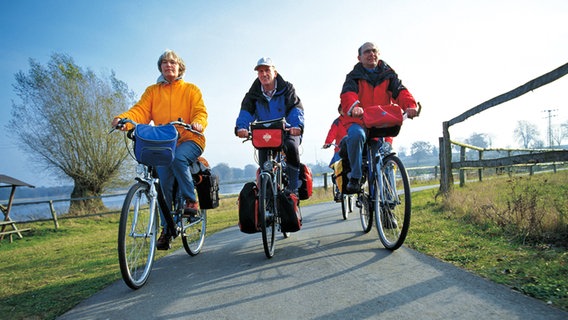 Drei Radfahrer auf einem Radweg in der Mecklenburgischen Seenplatte. © Tourismusverband Mecklenburg-Vorpommern Foto: Werk 3 - Agentur für Werbung und PR Werk 3