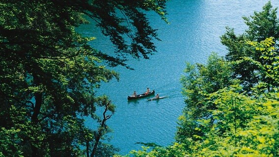 Blick durch Bäume auf ein Paddelboot auf den See Schmaler Luzin. © TMV 