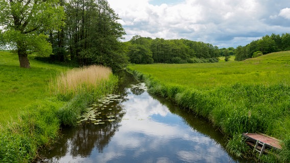 Grüne Grasflächen, Bäume und Schilfrohr rechts und links von einem Wasserlauf mit Seerosen und Badesteg. © NDR Foto: Anja Deuble