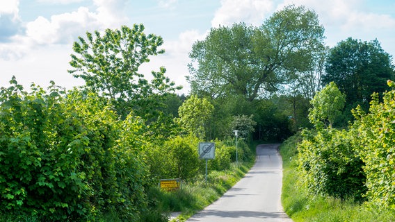 Bäume, Büsche und Hecken säumen rechts und links eine kleine Straße. © NDR Foto: Anja Deuble