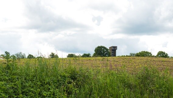 Am Rande eines Feldes steht ein hölzerner Aussichtsturm. © NDR Foto: Anja Deuble