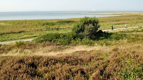 Blick über die Duhner Küstenheide bei Cuxhaven © imago Foto: Jürgen Hanel