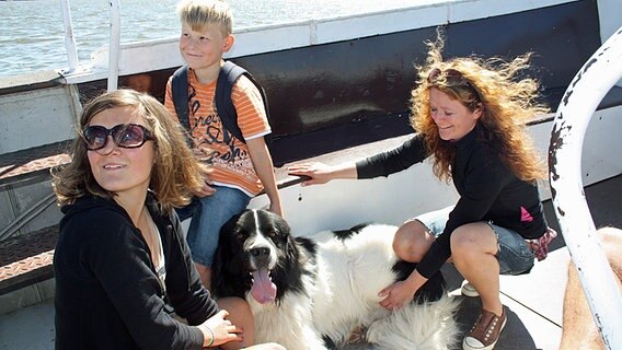 Ein Hund auf einem Boot auf der Überfahrt zur Elbinsel Lühesand. © NDR Foto: Maya Ueckert