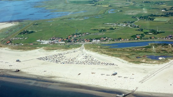 Der Strand von St. Peter-Ording im Norden aus der Luft. © NDR Foto: Kathrin Weber