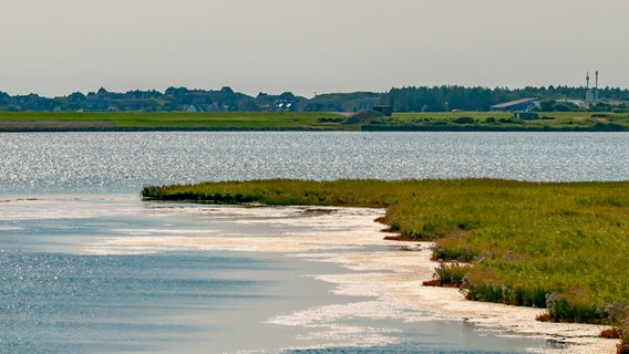 Blick auf Ufer- und Wasserflächen des Rantumbeckens auf Sylt. © Imago Images / Panthermedia Foto: Augustin