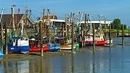 Fischkutter im Hafen von Fedderwardersiel © imago images/blickwinkel 
