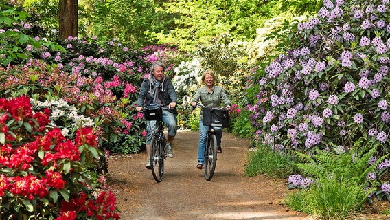 Two cyclists on the Rhododendron Route in Ammerland © Ammerland Touristik 
