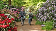 Zwei Fahrradfahrerinnen auf der Rhododendron-Route im Ammerland © Ammerland Touristik 