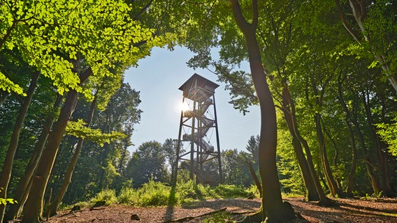 Aussichtsturm auf dem Beutling am Ahornweg © Geopark Terra.Vita 