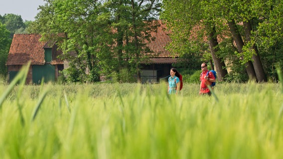 Zwei Wanderer gehen durch Felder auf dem Ahornweg. © Geopark Terra.Vita Foto: Klaus Herzmann