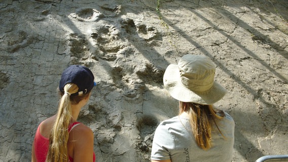 Zwei Frauen stehen vor Dinosaurierspuren in Barkhausen. Zwei Frauen stehen vor Dinosaurierspuren in Barkhausen. © Geopark Terra.Vita