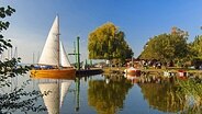 Segelboot am Ufer des Dümmer Sees © blickwinkel McPhoto Foto: W. Rolfes