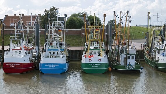 Fischerboote liegen im Hafen von Ditzum. © imago images / Jürgen Schwarz 