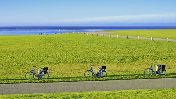 Drei blaue Fahrräder stehen an einem Weg im ostfriesischen Norddeich, im Hintergrund ist die Nordsee zu sehen. © imago images/imagebroker/Frederik 