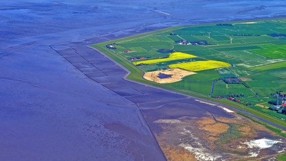 Luftbild von Landgewinnungsflächen am Dollart im Rheiderland © imago/blickwinkel 