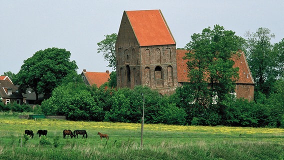 Der schiefe Kirchturm in Suurhusen (Landkreis Aurich). © dpa 