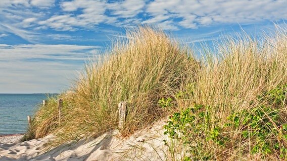 Weg zum Strand durch Dünen an der Ostsee bei Heiligenhafen. © Fotolia Foto: Thorsten Schier