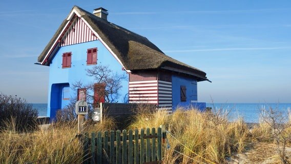 Blaues Haus mit Reetdach auf der Halbinsel Graswarder in Heiligenhafen. © NDR Foto: Kathrin Weber