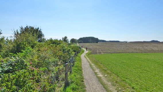 Ein Weg führt zur Steilküste bei Grömitz an der Ostsee. © NDR Foto: Kathrin Weber