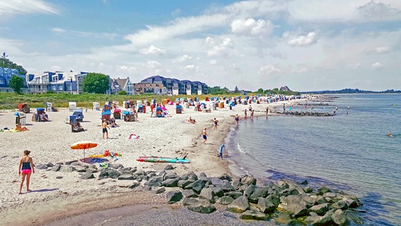 Strand in Hohwacht an der Ostsee im Sommer. © NDR Foto: Kathrin Weber