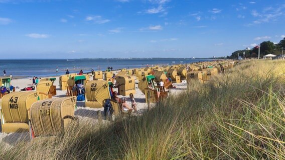 Besetzte Strandkörbe in Scharbeutz an der Ostsee. © imago/Westend61 