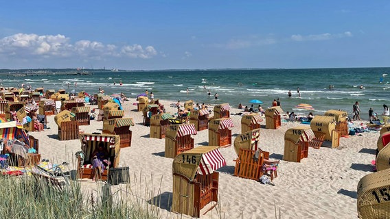 Strandkörbe am Strand von Scharbeutz © NDR Foto: Nathalie Komaromi