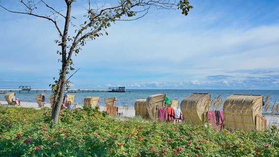 Der Strand im Ostseebad Kellenhusen. © fotolia Foto: travelpeter
